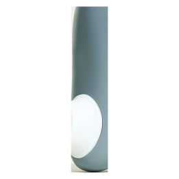 Stimulateur "Womanizer" W100