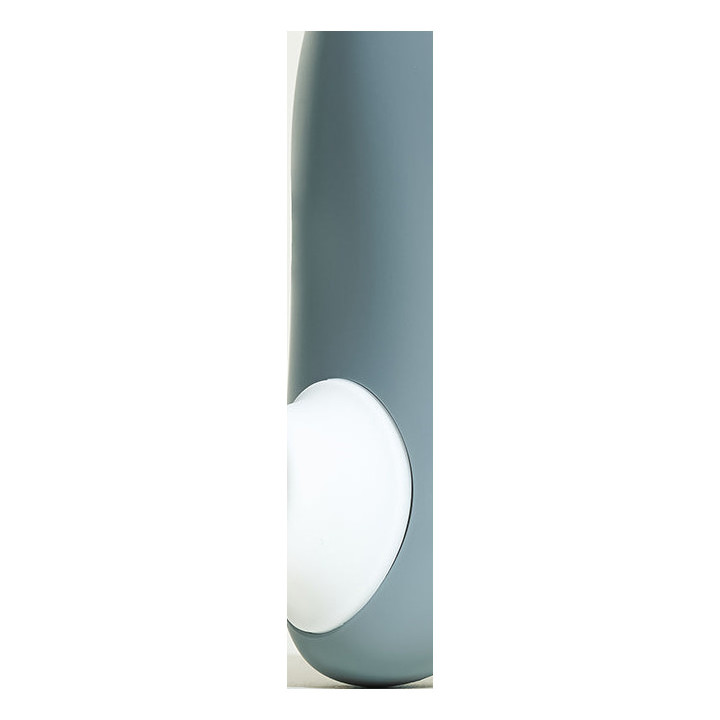Stimulateur "Womanizer" W100