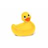 canard vibrant