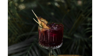 Elixir du XIXeme Mutine