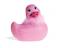  Canard vibrant Paris rose 